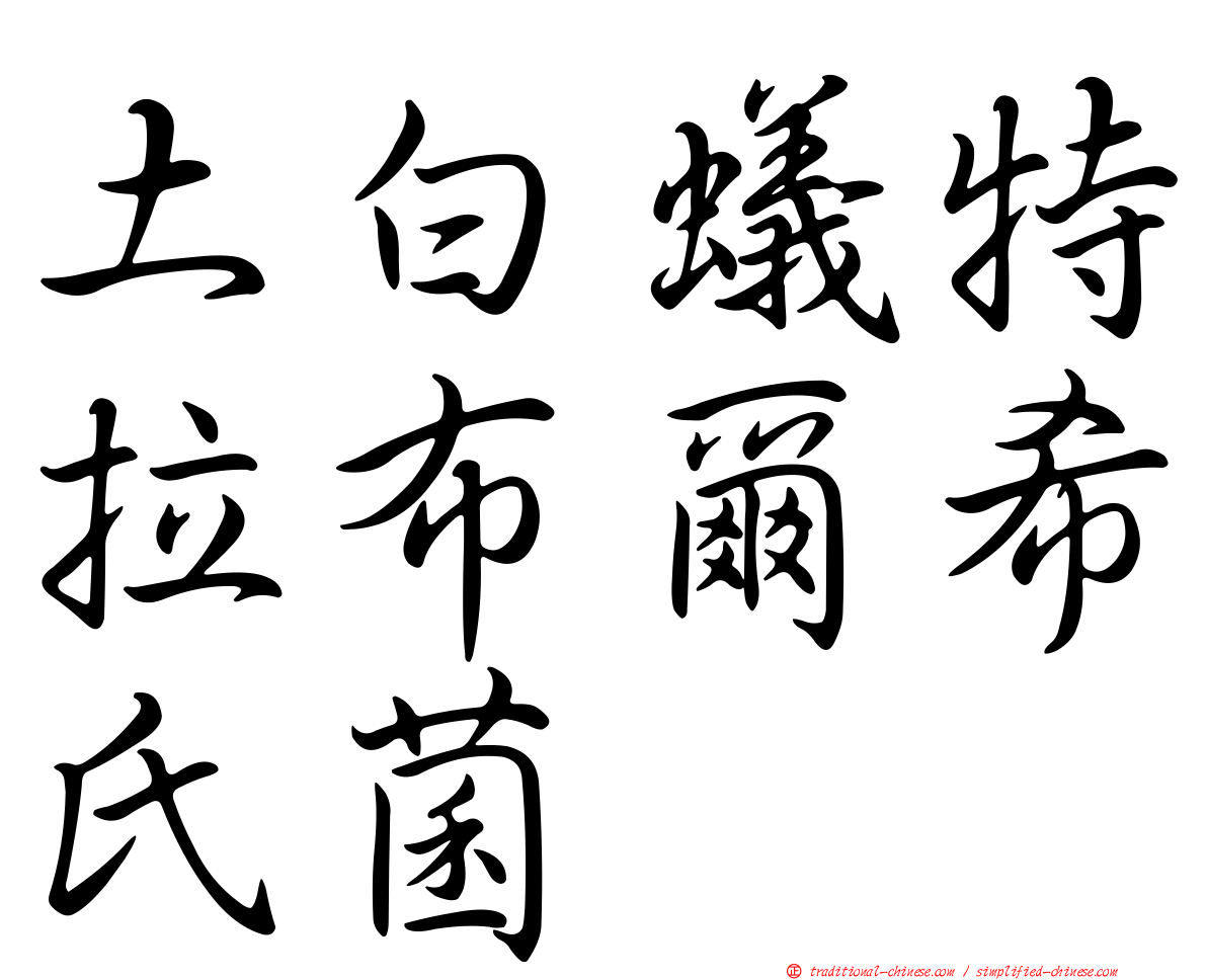 土白蟻特拉布爾希氏菌