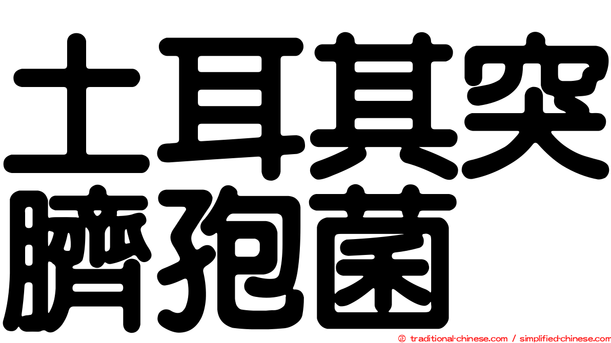 土耳其突臍孢菌