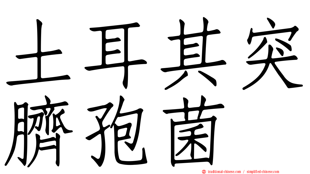 土耳其突臍孢菌