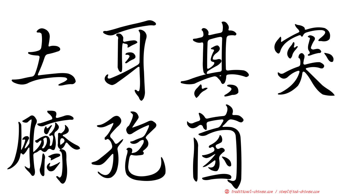 土耳其突臍孢菌
