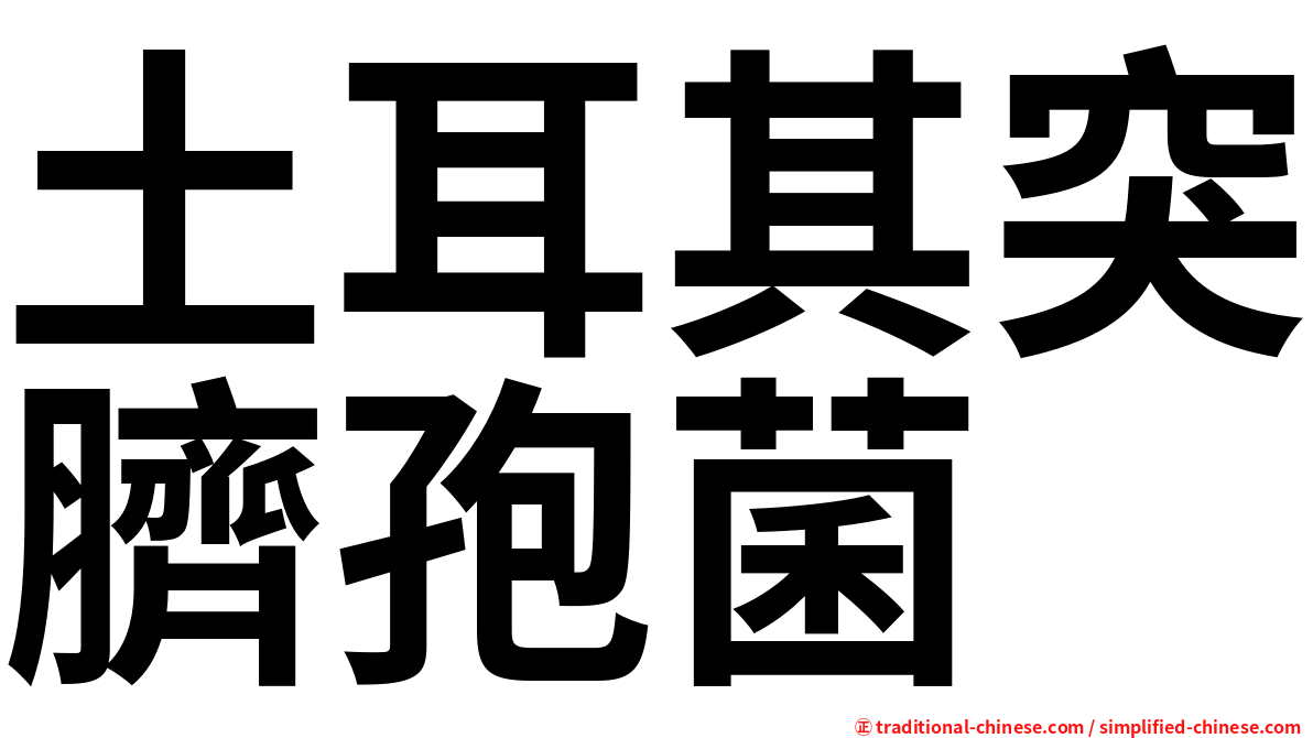 土耳其突臍孢菌
