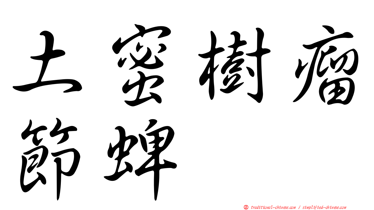 土蜜樹瘤節蜱