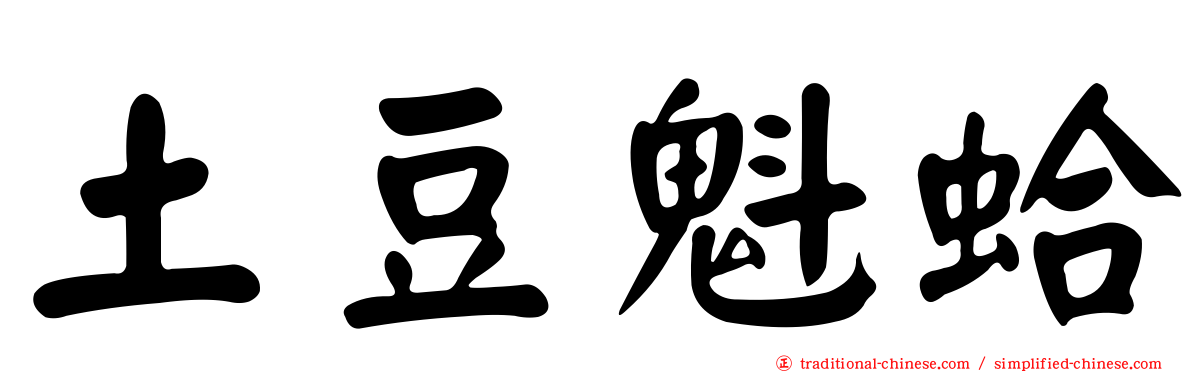 土豆魁蛤