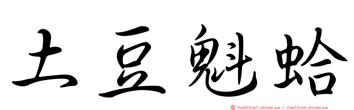 土豆魁蛤