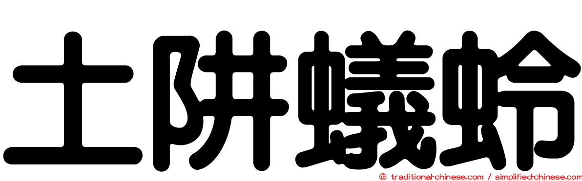 土阱蟻蛉