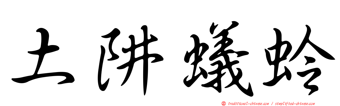 土阱蟻蛉