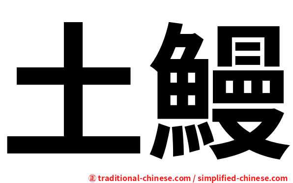 土鰻