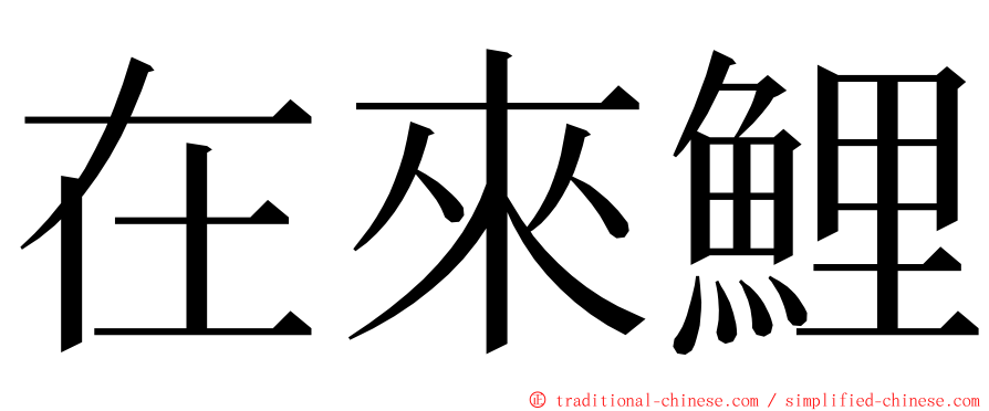 在來鯉 ming font
