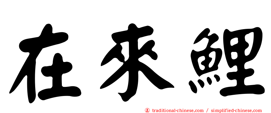 在來鯉