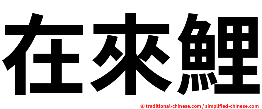 在來鯉