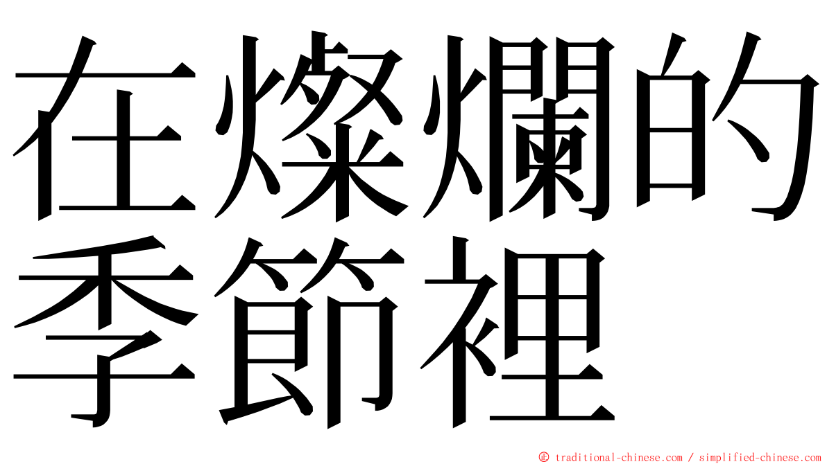 在燦爛的季節裡 ming font