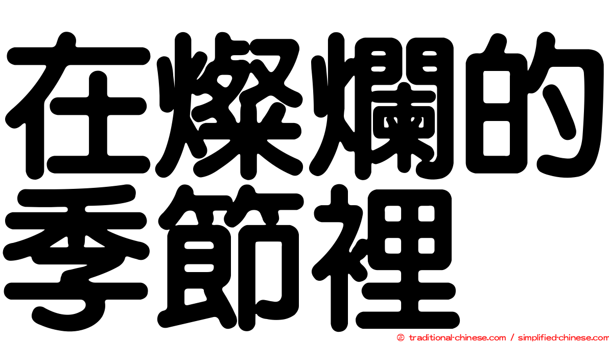 在燦爛的季節裡