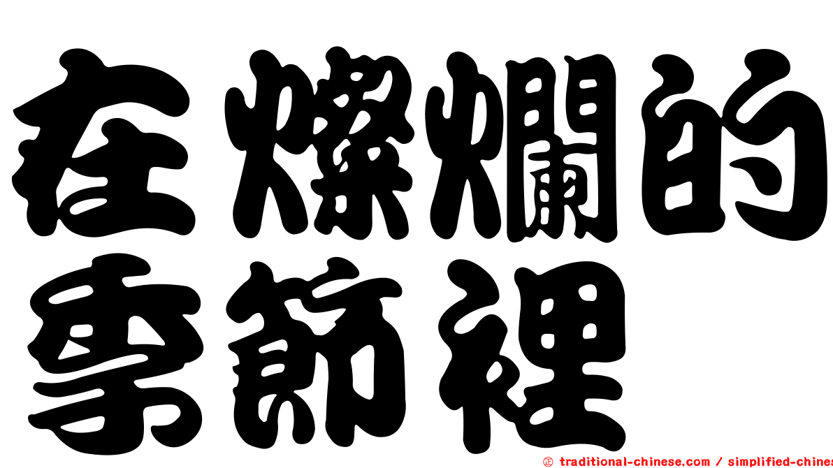 在燦爛的季節裡