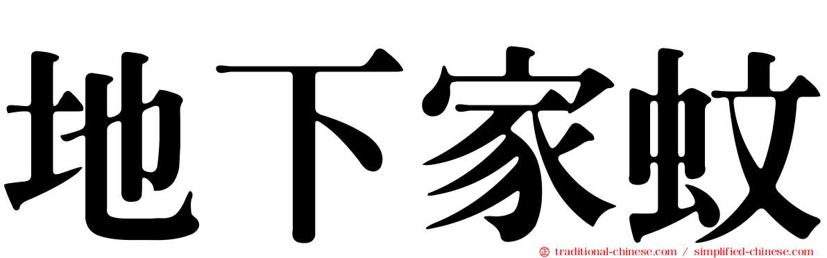 地下家蚊