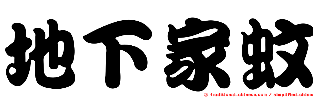 地下家蚊