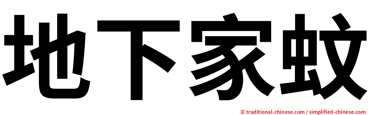 地下家蚊