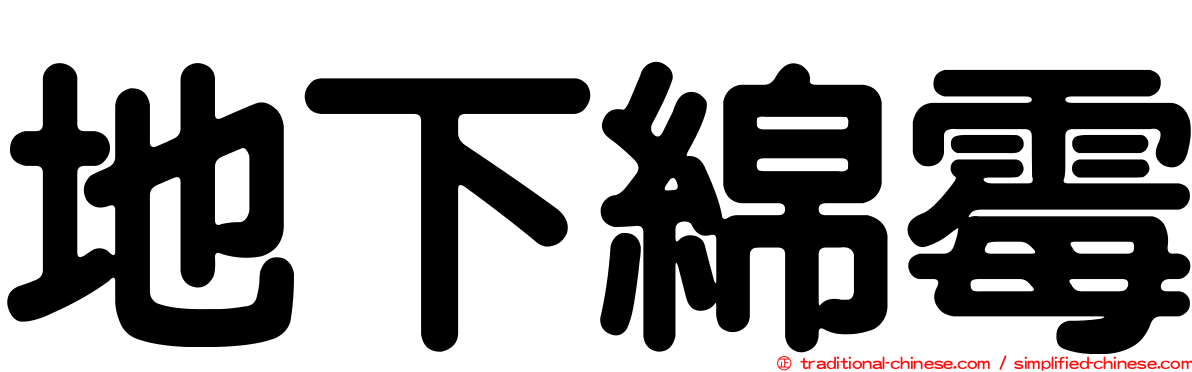 地下綿霉