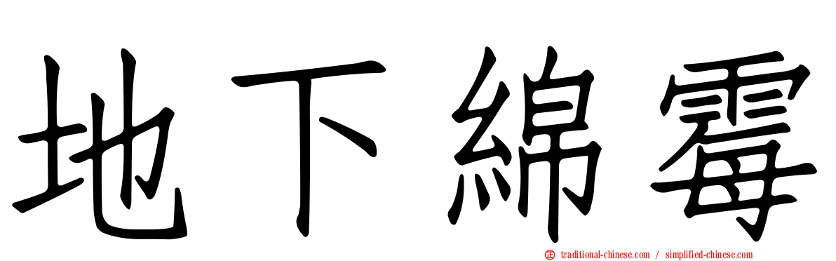 地下綿霉