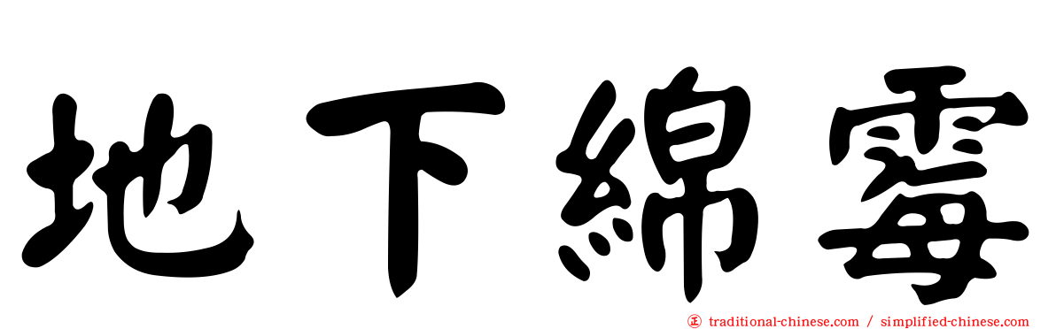 地下綿霉