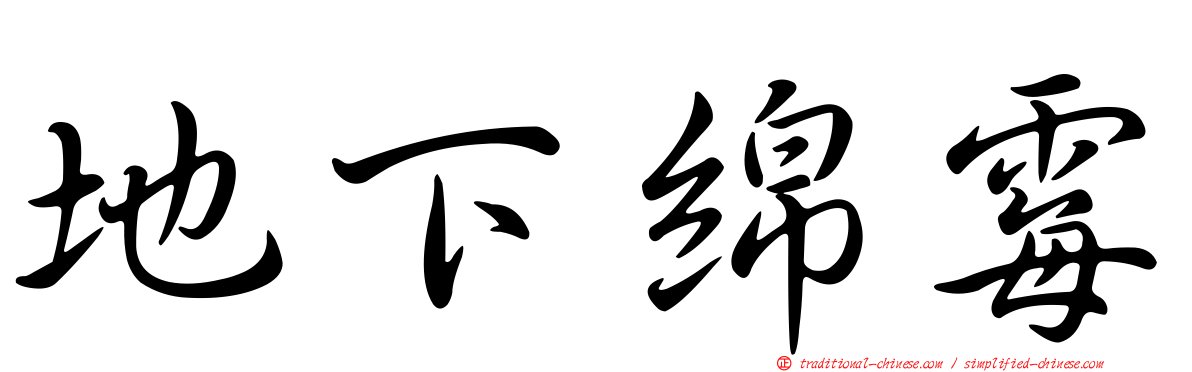 地下綿霉