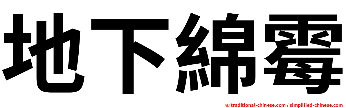 地下綿霉