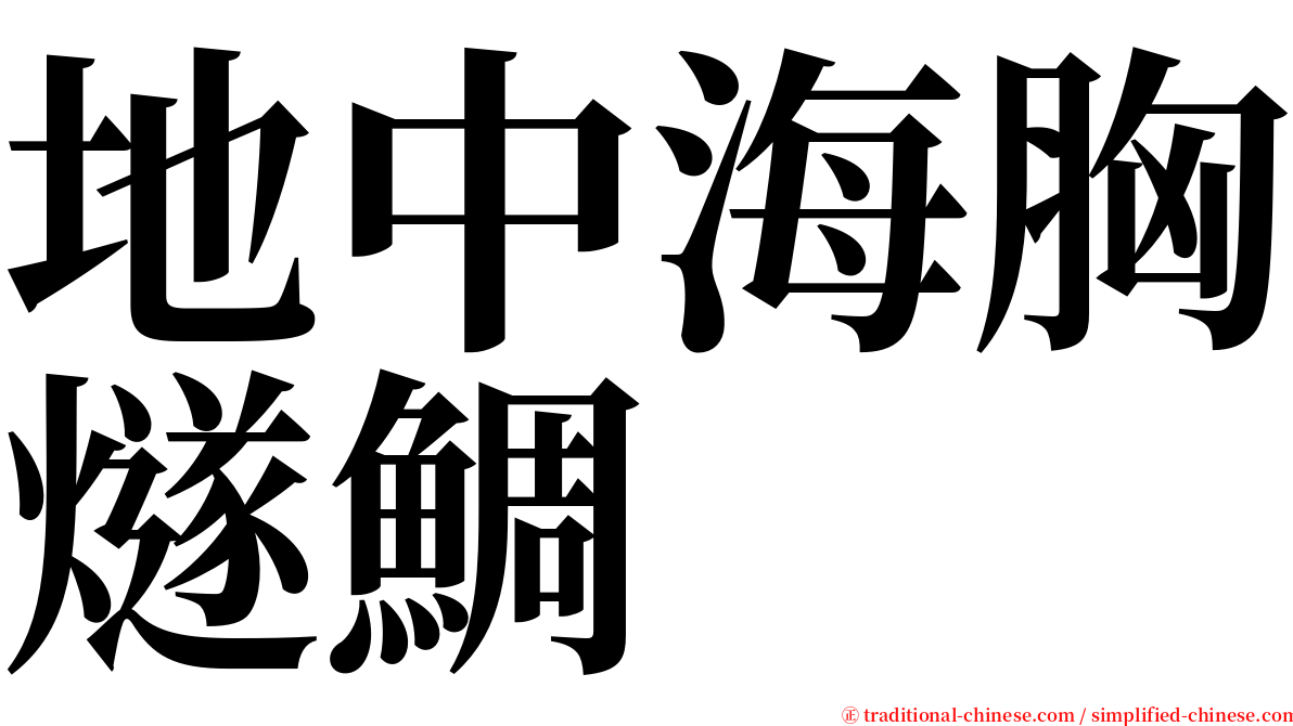 地中海胸燧鯛 serif font