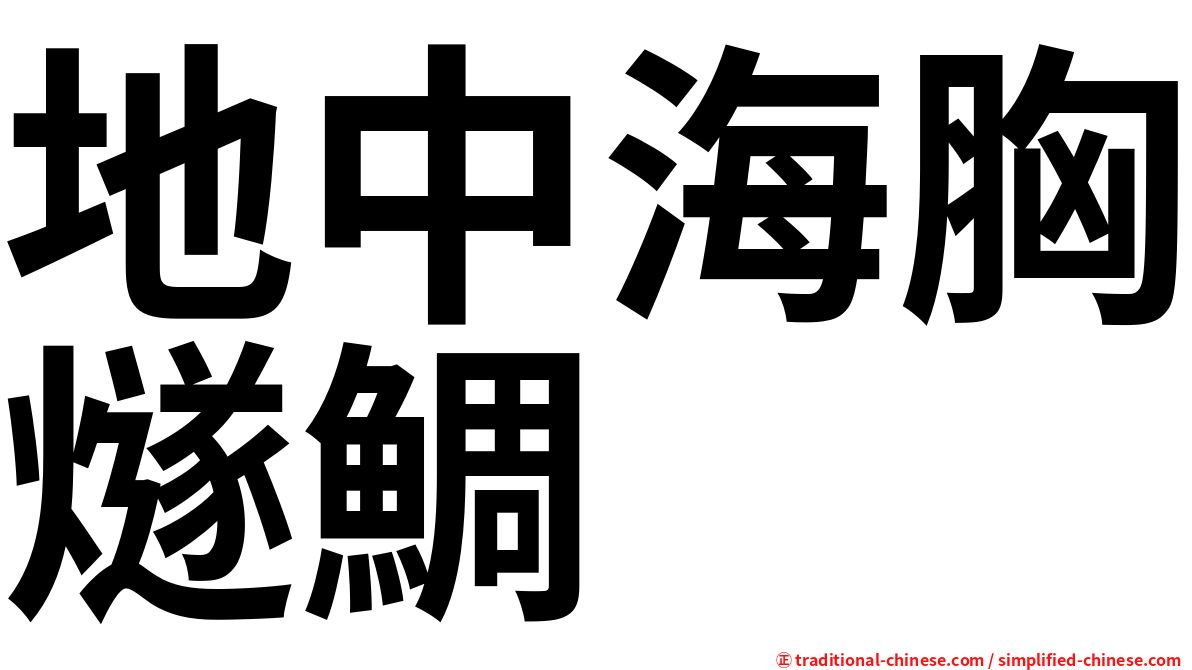 地中海胸燧鯛
