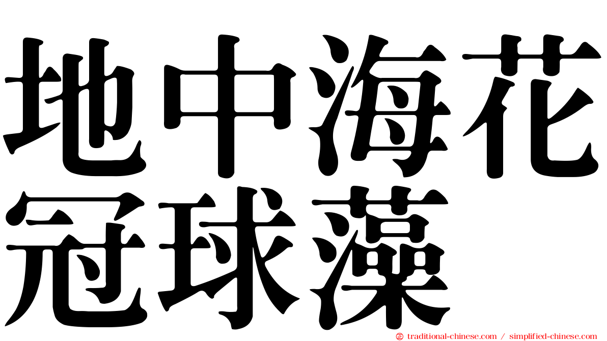 地中海花冠球藻