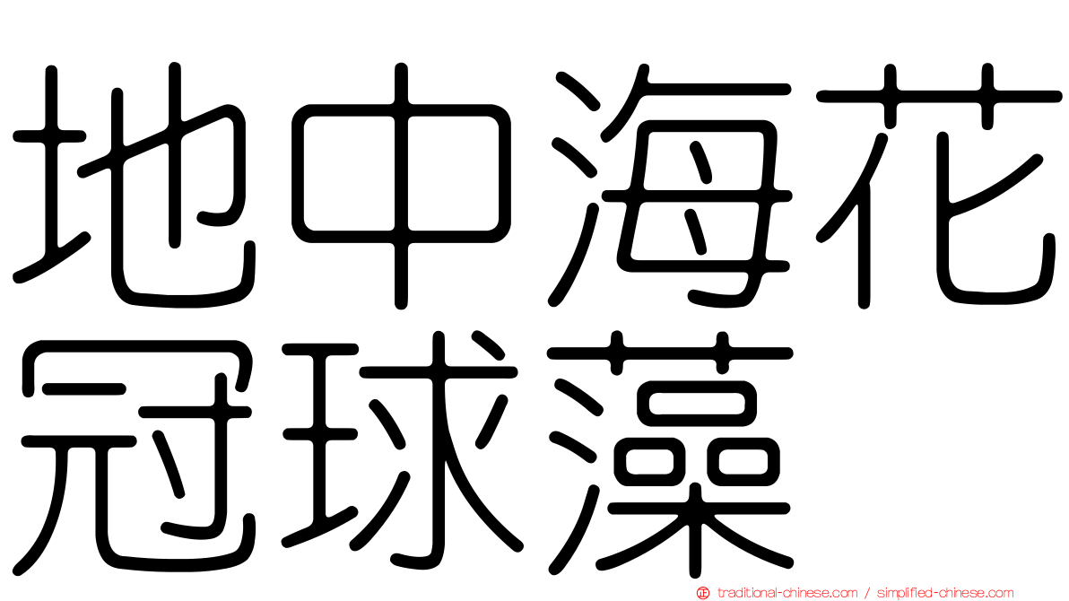 地中海花冠球藻