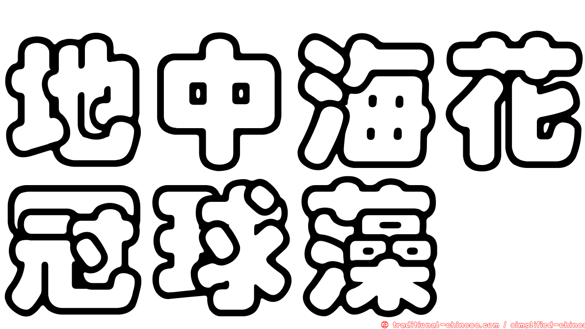 地中海花冠球藻
