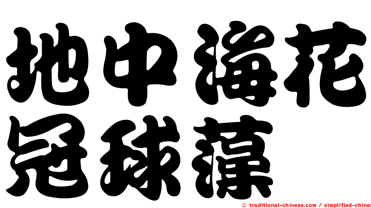 地中海花冠球藻