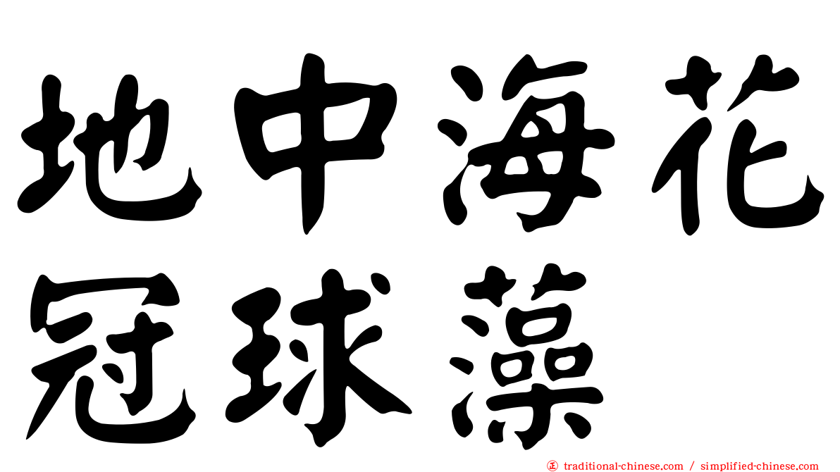 地中海花冠球藻