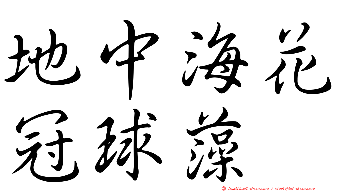 地中海花冠球藻