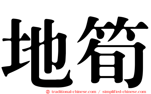 地筍