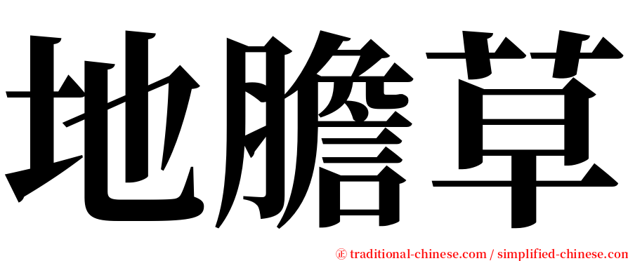 地膽草 serif font