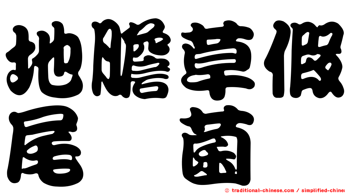 地膽草假尾孢菌