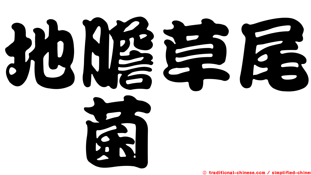 地膽草尾孢菌