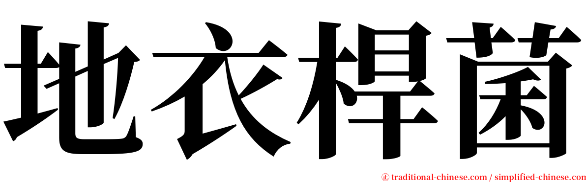 地衣桿菌 serif font
