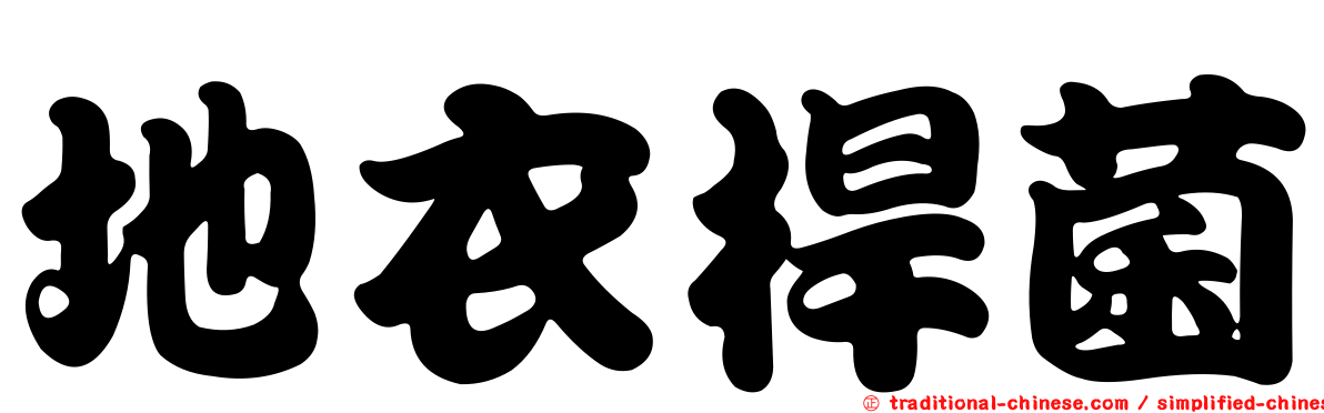 地衣桿菌