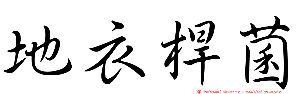 地衣桿菌