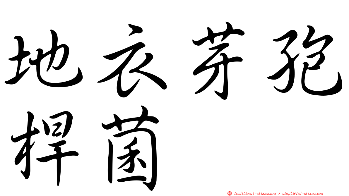 地衣芽孢桿菌