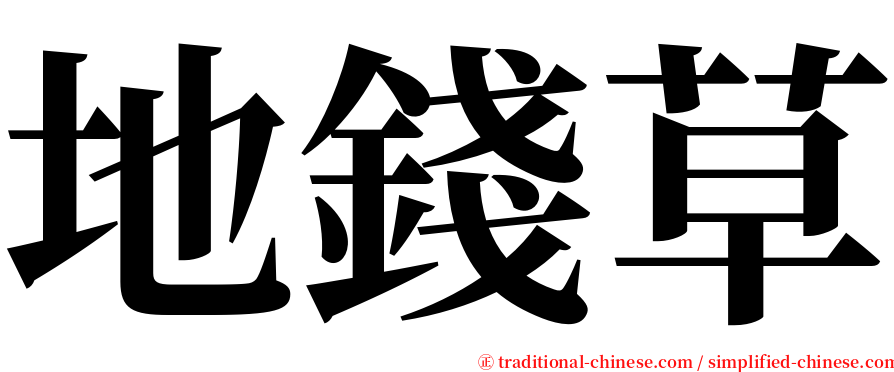 地錢草 serif font