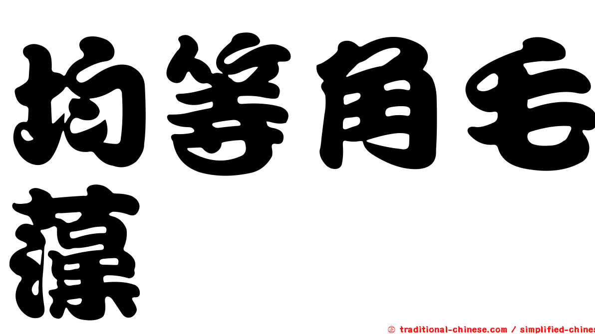 均等角毛藻