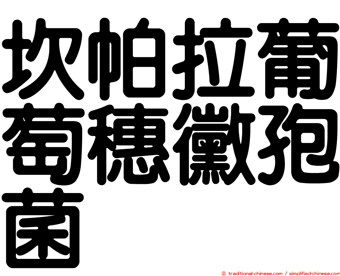 坎帕拉葡萄穗黴孢菌
