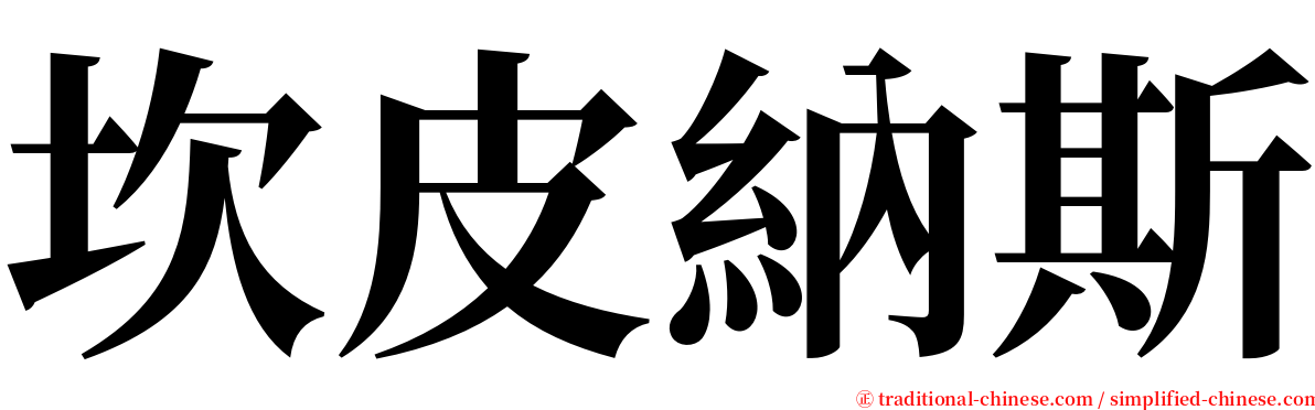 坎皮納斯 serif font