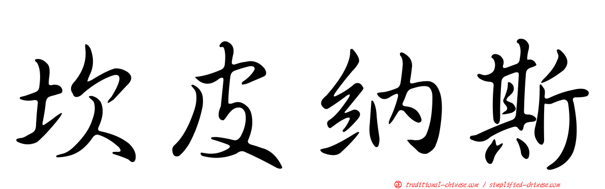 坎皮納斯