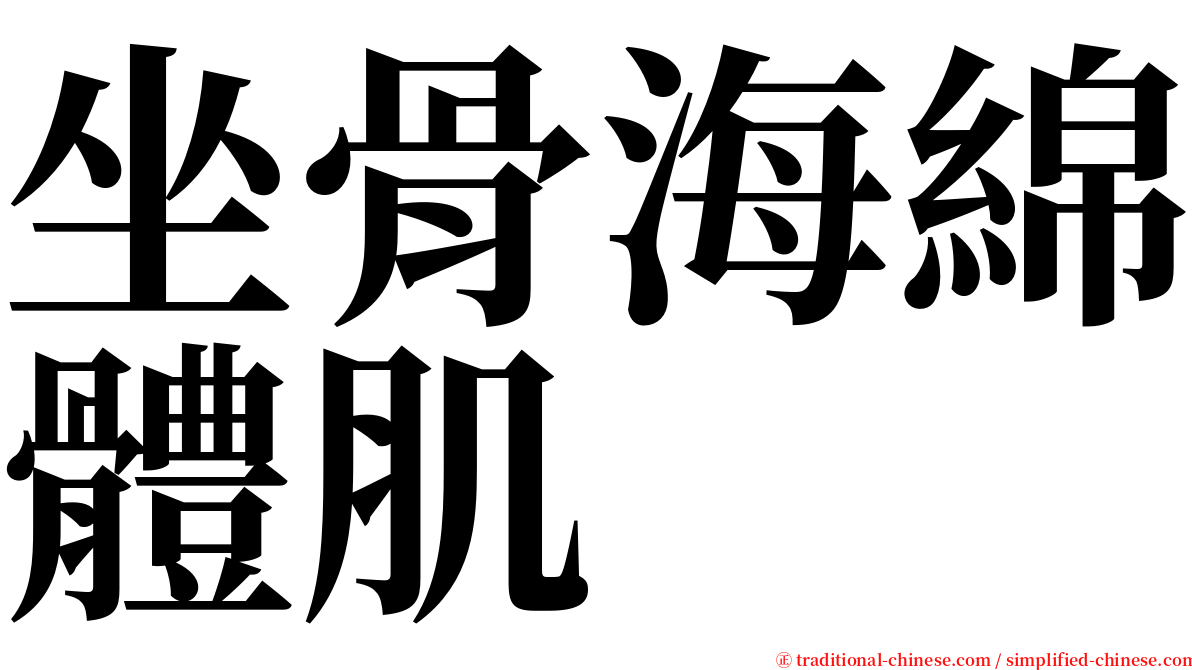 坐骨海綿體肌 serif font