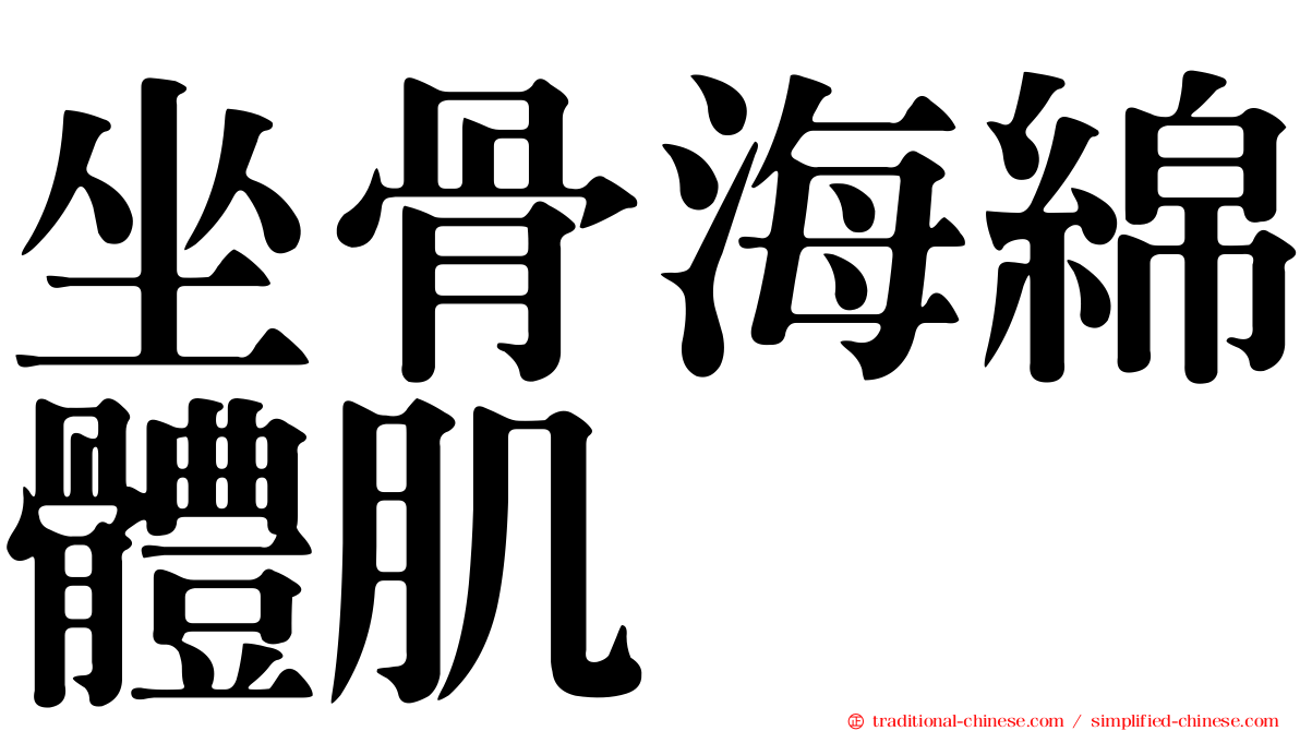 坐骨海綿體肌