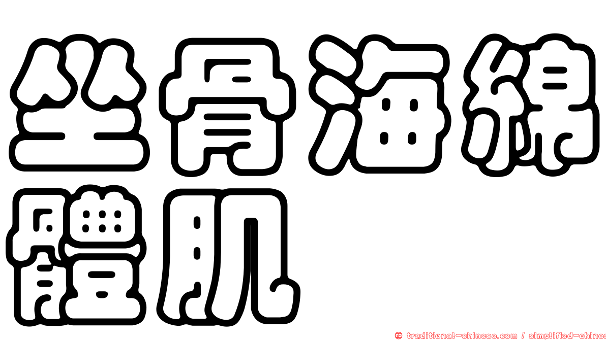 坐骨海綿體肌