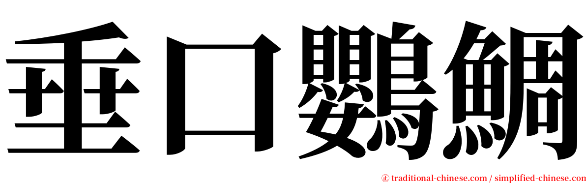 垂口鸚鯛 serif font